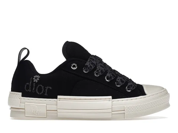 Dior B23 Skater Low Top ERL Black Cotton Canvas