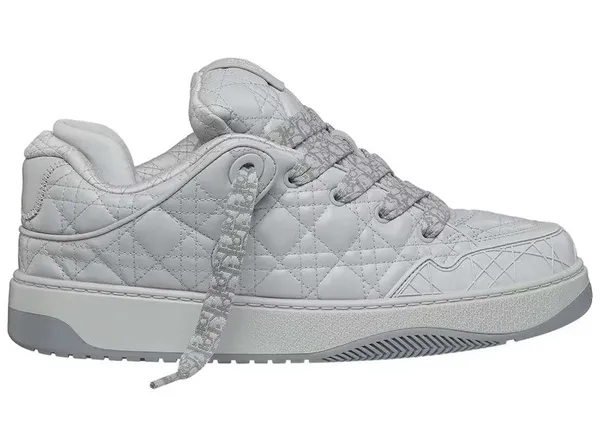 Dior B9S Skater Dior Gray (Numbered)